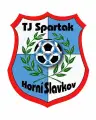 TJ Spartak Horní Slavkov