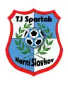 TJ Spar. Horní Slavkov