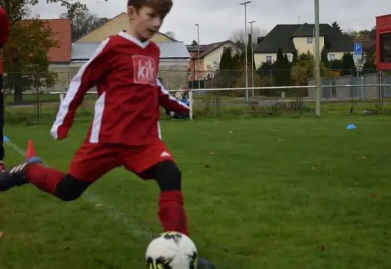 MLP: Turnaj 5.11.2022