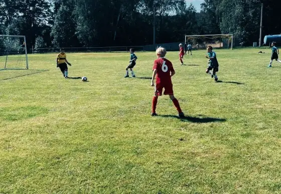 STP: Starší přípravka vítězila v Plesné